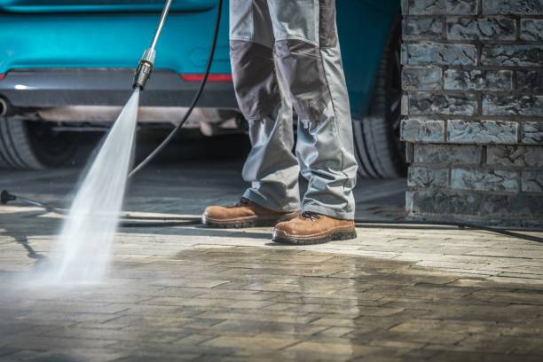 Best Spring Cleaning  in Watertown, MN